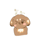 うちの犬ぽんず！！（個別スタンプ：13）
