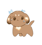 うちの犬ぽんず！！（個別スタンプ：17）