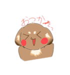 うちの犬ぽんず！！（個別スタンプ：22）
