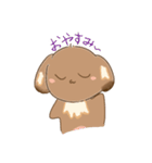 うちの犬ぽんず！！（個別スタンプ：24）