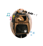 Ito babies（個別スタンプ：17）