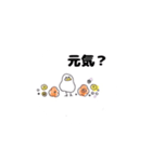 小鳥のいる暮らし（個別スタンプ：1）