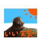 べるるのスタンプ(日常編)（個別スタンプ：5）