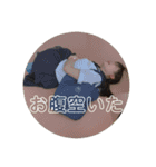 あめりあてゃスタンプ♡（個別スタンプ：15）