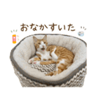 チャイくんの日常スタンプ（個別スタンプ：38）