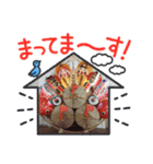 虎の煌めき（個別スタンプ：15）