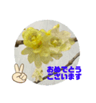ゆきちゃん宅スタンプ25（個別スタンプ：3）