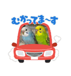 ゆきちゃん宅スタンプ25（個別スタンプ：5）