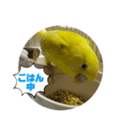 ゆきちゃん宅スタンプ25（個別スタンプ：6）