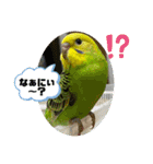 ゆきちゃん宅スタンプ25（個別スタンプ：11）