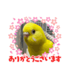ゆきちゃん宅スタンプ25（個別スタンプ：12）