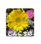 ゆきちゃん宅スタンプ25（個別スタンプ：15）