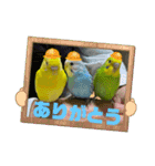 ゆきちゃん宅スタンプ25（個別スタンプ：17）