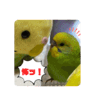 ゆきちゃん宅スタンプ25（個別スタンプ：18）