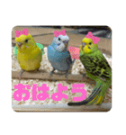 ゆきちゃん宅スタンプ25（個別スタンプ：19）