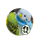 ゆきちゃん宅スタンプ25（個別スタンプ：21）