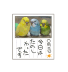 ゆきちゃん宅スタンプ25（個別スタンプ：22）