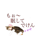 熊本弁喋るばい！猫ちゃん ネコ くまもと（個別スタンプ：16）