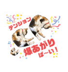 熊本弁喋るばい！猫ちゃん ネコ くまもと（個別スタンプ：32）