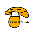 のこちゃんキノコ（個別スタンプ：6）