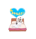 おもちくん＆おはなちゃんの日常スタンプ（個別スタンプ：8）