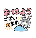 シルバートイプードル まんぷく君①（個別スタンプ：1）