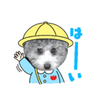 シルバートイプードル まんぷく君①（個別スタンプ：5）