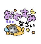 シルバートイプードル まんぷく君①（個別スタンプ：16）