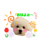 そら吉＆ルーの助（個別スタンプ：2）