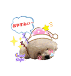 そら吉＆ルーの助（個別スタンプ：3）
