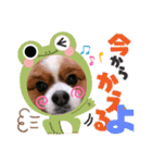 そら吉＆ルーの助（個別スタンプ：5）