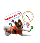 そら吉＆ルーの助（個別スタンプ：9）