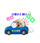 そら吉＆ルーの助（個別スタンプ：10）