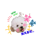 そら吉＆ルーの助（個別スタンプ：12）