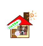 そら吉＆ルーの助（個別スタンプ：15）