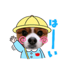そら吉＆ルーの助（個別スタンプ：23）