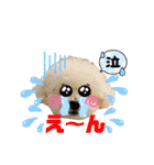 そら吉＆ルーの助（個別スタンプ：24）