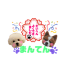 そら吉＆ルーの助（個別スタンプ：26）
