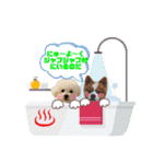 そら吉＆ルーの助（個別スタンプ：29）
