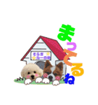 そら吉＆ルーの助（個別スタンプ：36）