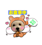 そら吉＆ルーの助（個別スタンプ：37）