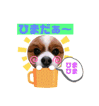そら吉＆ルーの助（個別スタンプ：38）
