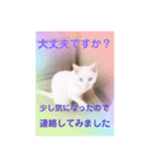 にゃ〜にゃ〜にゃ〜の猫の日用スタンプ（個別スタンプ：4）