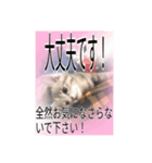 にゃ〜にゃ〜にゃ〜の猫の日用スタンプ（個別スタンプ：14）