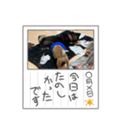 あたちはあんちゃん（個別スタンプ：16）
