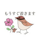 鳥ちゃんとお花（個別スタンプ：8）