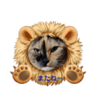 たわなつ2（個別スタンプ：10）