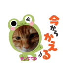たわなつ2（個別スタンプ：11）