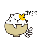 うつわねこ（個別スタンプ：1）