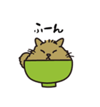 うつわねこ（個別スタンプ：3）